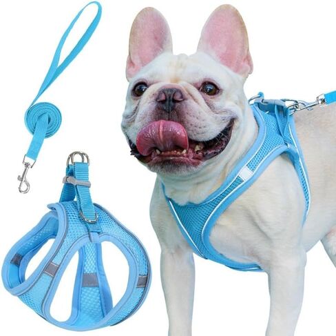 Cat Harness and Leash Set, Soft and Breathable Vest with Reflective Strip, Escape Proof Kitten Harness, Easy to Wear for Cats Walking and Traveling (Blue,m) in Saudi Arabia