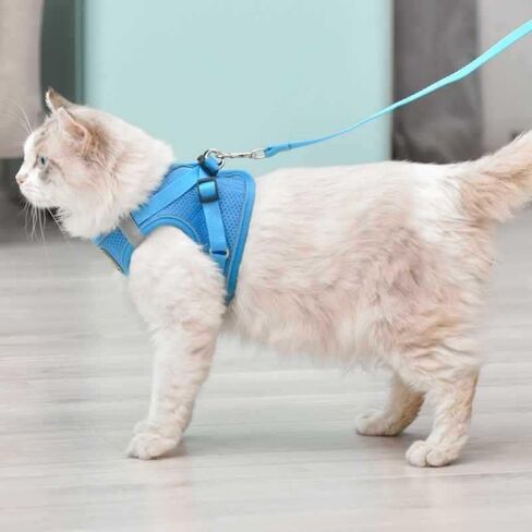 Cat Harness and Leash Set, Soft and Breathable Vest with Reflective Strip, Escape Proof Kitten Harness, Easy to Wear for Cats Walking and Traveling (Blue,m) in Saudi Arabia