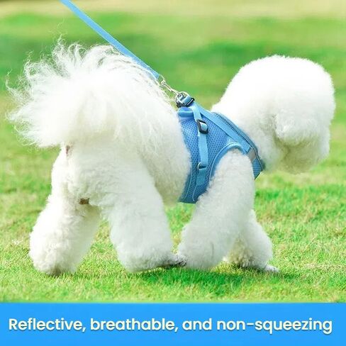 Cat Harness and Leash Set, Soft and Breathable Vest with Reflective Strip, Escape Proof Kitten Harness, Easy to Wear for Cats Walking and Traveling (Blue,m) in Saudi Arabia