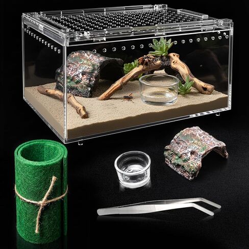 Tarantula Enclosure, 5-in-1 Reptile Terrarium Starter Kit | Pre-Assembled PC Habitat with Magnetic Lid, Full Ventilation & Waterproof for Jumping Spiders, Hermit Crabs, Frogs, Scorpions in Saudi Arabia
