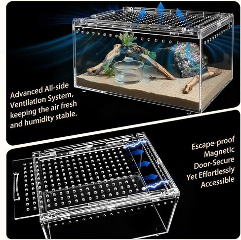 Tarantula Enclosure, 5-in-1 Reptile Terrarium Starter Kit | Pre-Assembled PC Habitat with Magnetic Lid, Full Ventilation & Waterproof for Jumping Spiders, Hermit Crabs, Frogs, Scorpions in Saudi Arabia
