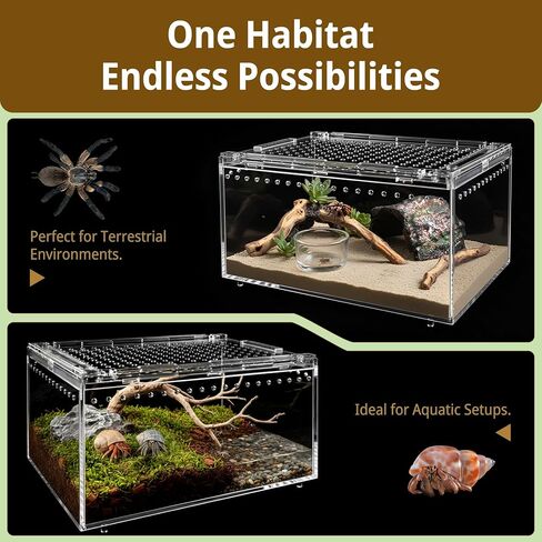 Tarantula Enclosure, 5-in-1 Reptile Terrarium Starter Kit | Pre-Assembled PC Habitat with Magnetic Lid, Full Ventilation & Waterproof for Jumping Spiders, Hermit Crabs, Frogs, Scorpions in Saudi Arabia
