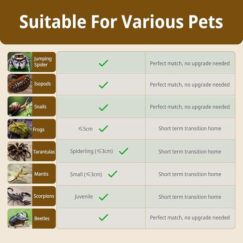 Tarantula Enclosure, 5-in-1 Reptile Terrarium Starter Kit | Pre-Assembled PC Habitat with Magnetic Lid, Full Ventilation & Waterproof for Jumping Spiders, Hermit Crabs, Frogs, Scorpions in Saudi Arabia