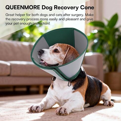 Queenmore Large Dog Cone, Dog Cones for Large Dogs, Comfy Cone Collar Alternative After Surgery, Comfortable Recovery E-Collar for Pets to Stop Licking Wound Healing (Dark Green,XL) in Saudi Arabia