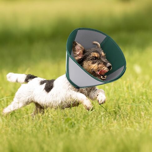 Queenmore Large Dog Cone, Dog Cones for Large Dogs, Comfy Cone Collar Alternative After Surgery, Comfortable Recovery E-Collar for Pets to Stop Licking Wound Healing (Dark Green,XL) in Saudi Arabia