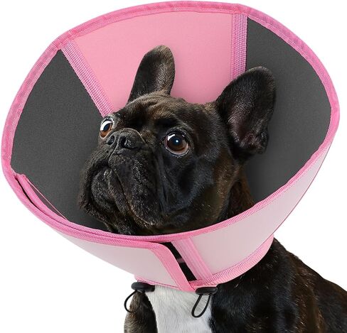 Queenmore Large Dog Cone, Dog Cones for Large Dogs, Comfy Cone Collar Alternative After Surgery, Comfortable Recovery E-Collar for Pets to Stop Licking Wound Healing (Dark Green,XL) in Saudi Arabia