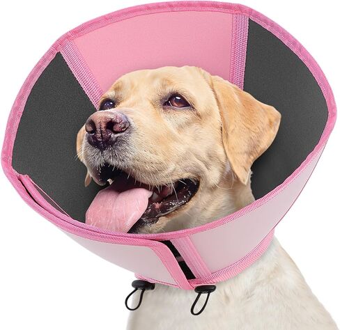 Queenmore Large Dog Cone, Dog Cones for Large Dogs, Comfy Cone Collar Alternative After Surgery, Comfortable Recovery E-Collar for Pets to Stop Licking Wound Healing (Dark Green,XL) in Saudi Arabia