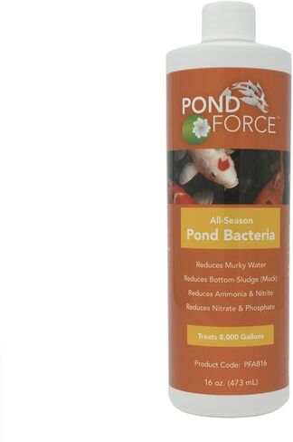 All Season Pond Bacteria (16oz Treats 8000 Gallons) in Saudi Arabia