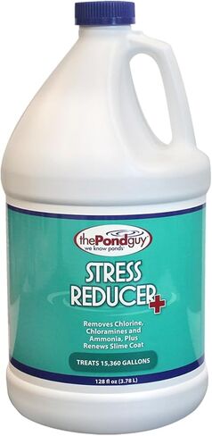 The Pond Guy Stress Reducer Plus، إزالة الكلور والكلورامين والأمونيا من الماء، والحفاظ على صحة الأسماك وحماية معطف الوحل، معالجة سهلة، 1 جالون in Kuwait