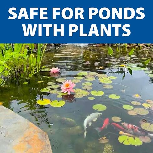 The Pond Guy Stress Reducer Plus، إزالة الكلور والكلورامين والأمونيا من الماء، والحفاظ على صحة الأسماك وحماية معطف الوحل، معالجة سهلة، 1 جالون in Kuwait