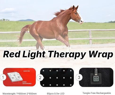 أحذية حافر للعلاج بالضوء الأحمر يمكن ارتداؤها، غلاف للعلاج بالضوء LED للخيول، 850 نيوتن متر و660 نيوتن متر، وضعان للتشغيل، 3 خيارات للضوء، مؤقت لمدة 15 دقيقة in Saudi Arabia
