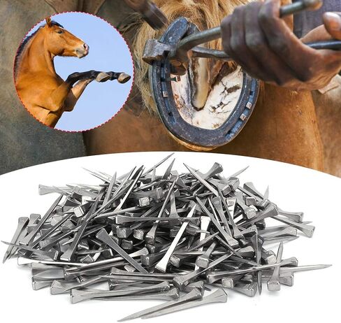 250Pcs Quality Steel Horseshoe Nails E5, Horse Supply Accessories, Horseshoe Nails for Farrier and Horse Care, with Fine Workmanship and Elasticity in Saudi Arabia