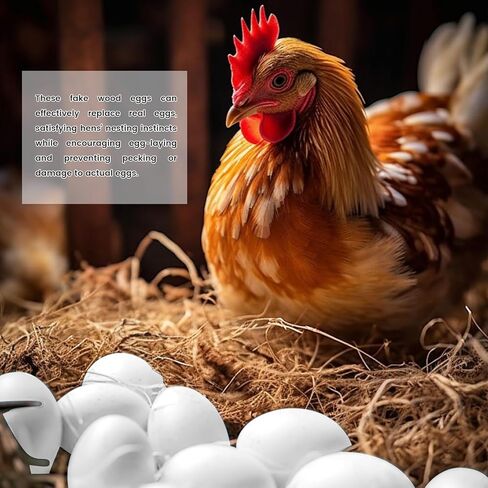 20 قطعة من البيض الخشبي المزيف، بيض عيد الفصح الأبيض، بيض الدجاج المزيف، بيضة دمية للحرف التظاهرية، إكسسوارات المطبخ، لعبة الطعام، ديكور المنزل، لوحة يدوية in Kuwait