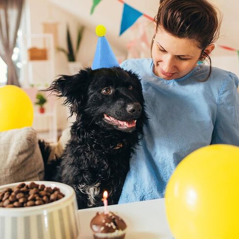 Mini Party Hats for Small Dogs Cats Birthday Cone Hats for Puppies Kittens,Stuffed Animals Birthday Party Decorations Small Pet Costume Accessories in Saudi Arabia