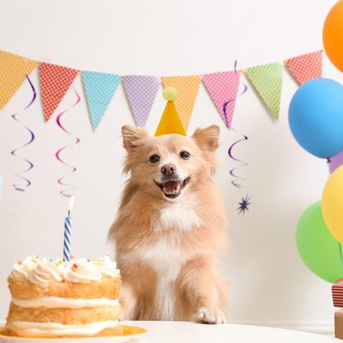 Mini Party Hats for Small Dogs Cats Birthday Cone Hats for Puppies Kittens,Stuffed Animals Birthday Party Decorations Small Pet Costume Accessories in Saudi Arabia