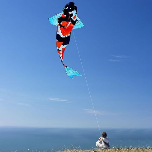 Large Koi Fish Kite Big Classical Easy to Use Versatile Classic Giant Carp Kite Koi Windsock for Outdoor Grasslands Beginner in Saudi Arabia