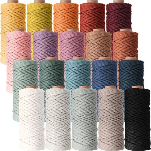 حبل Timgle Macrame 3 مم × 875 ياردة، حبل قطني Macrame 4 خيوط سلسلة ملتوية طبيعية 20 لفة من لوازم الغزل الملونة للتعليق على الحائط وشماعات النباتات والحرف اليدوية 20 لونًا (ألوان الماكارون) in Saudi Arabia