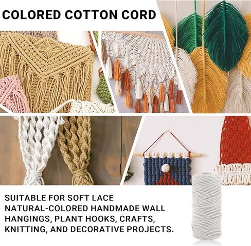 Macrame Cord 3mm x 110 Yards Colored Cotton Rope Knotting and Weaving Rope for Wall Hanging Home Decor Plant Hangers(Pure White) in Saudi Arabia