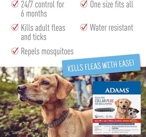آدامز بلس طوق البراغيث + حزمة الشامبو in Saudi Arabia