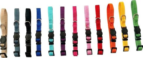 Simply Products Set of 12 Puppy/Kitten Collars / Adjustable/ Circle Quick Release Small / Classic Dog Collar / cat Collar / Compatible with leashes in Saudi Arabia