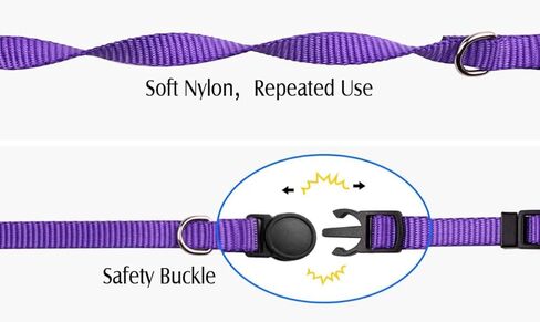 Simply Products Set of 12 Puppy/Kitten Collars / Adjustable/ Circle Quick Release Small / Classic Dog Collar / cat Collar / Compatible with leashes in Saudi Arabia