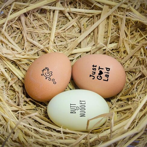 3 Pcs Fresh Egg Stamp 3/5 Inch Small Mini Stamp Chicken for Chicken Coop Stamper Home Farm Supplies Scrapbooking Card Making Planner in Kuwait