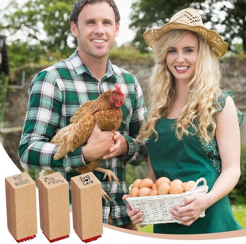 3 Pcs Fresh Egg Stamp 3/5 Inch Small Mini Stamp Chicken for Chicken Coop Stamper Home Farm Supplies Scrapbooking Card Making Planner in Kuwait