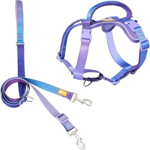 DF Freedom No Pull Martingale Dog Harness and Leash Set, Front Clip Adjustable Harness with Reflective & Padded Handle, Easy Walking & Training, Rainbow, 1", Chest 24.4" - 32.4" in Kuwait