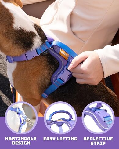 DF Freedom No Pull Martingale Dog Harness and Leash Set, Front Clip Adjustable Harness with Reflective & Padded Handle, Easy Walking & Training, Rainbow, 1", Chest 24.4" - 32.4" in Kuwait