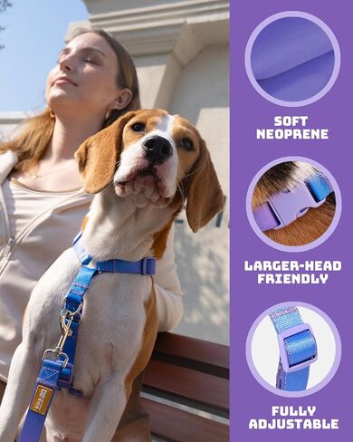 DF Freedom No Pull Martingale Dog Harness and Leash Set, Front Clip Adjustable Harness with Reflective & Padded Handle, Easy Walking & Training, Rainbow, 1", Chest 24.4" - 32.4" in Kuwait