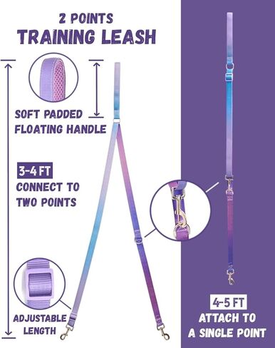 DF Freedom No Pull Martingale Dog Harness and Leash Set, Front Clip Adjustable Harness with Reflective & Padded Handle, Easy Walking & Training, Rainbow, 1", Chest 24.4" - 32.4" in Kuwait