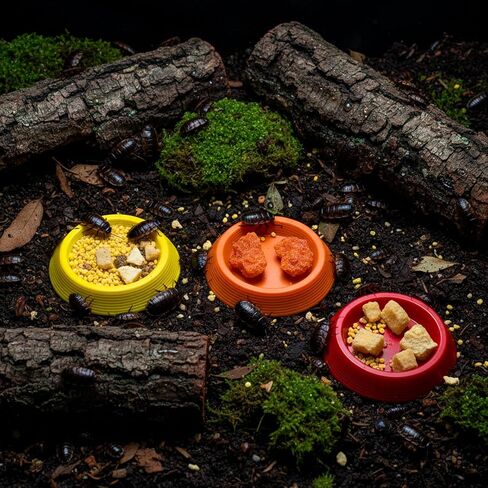 12Pcs Dubia Roaches Feeder Bowls, Tiny Feeding Dish Nonslip Feeding Dishes Colorful Feeder Bowls for Dubia Roaches Isopods Springtails Dwarf Invertebrates Terrariums and Enclosures in Saudi Arabia