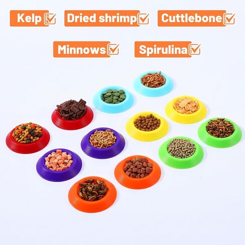 12Pcs Dubia Roaches Feeder Bowls, Tiny Feeding Dish Nonslip Feeding Dishes Colorful Feeder Bowls for Dubia Roaches Isopods Springtails Dwarf Invertebrates Terrariums and Enclosures in Saudi Arabia