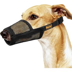 Mayerzon Greyhound Dog كمامة، كمامة شبكية ناعمة للكلاب طويلة الأنف لمنع الإفراط في العض والمضغ، مناسبة لزيارات الطبيب البيطري أثناء المشي، مما يسمح بتنفس الشرب (أسود، M) in Kuwait