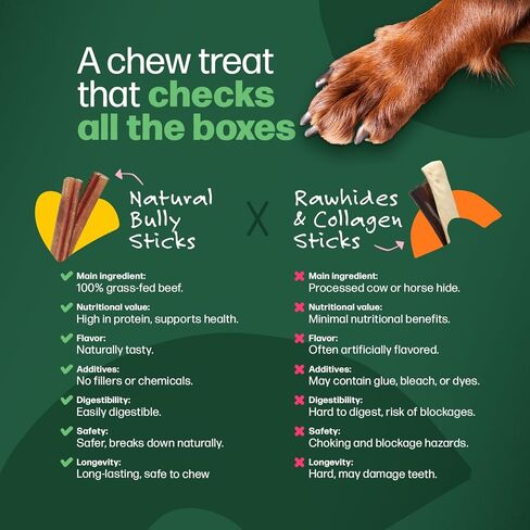 Willow & I Bully Sticks for Dogs -6 Inch Natural Bully Sticks for Medium Dogs, Small & Large- Premium 100% Grass Fed, Single Ingredient, Long Lasting, High Protein-Grain & Rawhide Free (6", 6 Pack) in Saudi Arabia