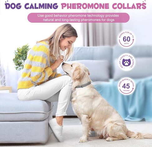 عبوة من 4 أطواق مهدئة للكلاب تحتوي على فرمون طبيعي | طوق مهدئ للكلاب يساعد على تقليل السلوك غير المرغوب فيه | تخفيف التوتر للكلاب والكلاب الصغيرة، هدوء واسترخاء مقاوم للماء يدوم 60 يومًا (رمادي) in Kuwait