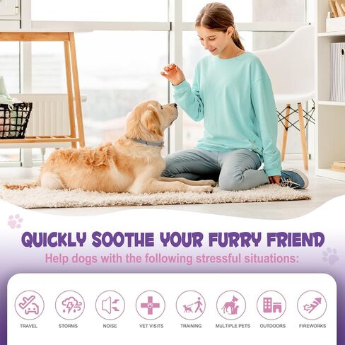 عبوة من 4 أطواق مهدئة للكلاب تحتوي على فرمون طبيعي | طوق مهدئ للكلاب يساعد على تقليل السلوك غير المرغوب فيه | تخفيف التوتر للكلاب والكلاب الصغيرة، هدوء واسترخاء مقاوم للماء يدوم 60 يومًا (رمادي) in Kuwait