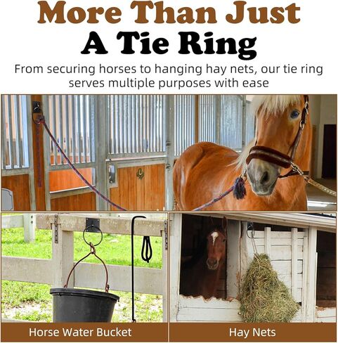 Horses Tie Ring - Black Safe Heavy Duty Tying Ring for Stall, Trailer & Training, Prevents Pull-Back Injuries, Essential Horse Stall & Barn Supplies (1) in Saudi Arabia