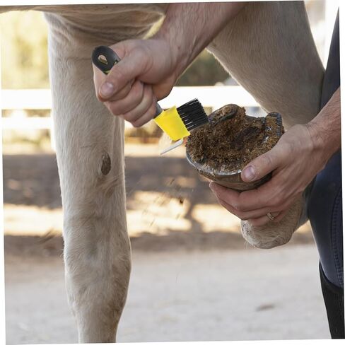GANAZONO 2pcs Horse Hoof Cleaning Brush Professional Hoof Hook Ergonomic Grip for Easy Grooming and Maintenance of Horse Random Colors in Saudi Arabia