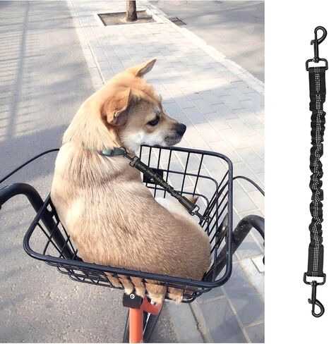 Dog Seat Belt for Bike Basket, Bike Leash, Retractable Bicycle Dog Seatbelt Seatbelt Extender for Bicycle Baskets, Racks or Pet Carriers (Black) in Saudi Arabia