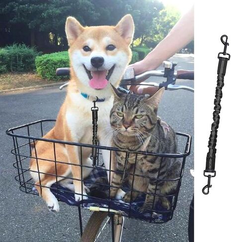 Dog Seat Belt for Bike Basket, Bike Leash, Retractable Bicycle Dog Seatbelt Seatbelt Extender for Bicycle Baskets, Racks or Pet Carriers (Black) in Saudi Arabia