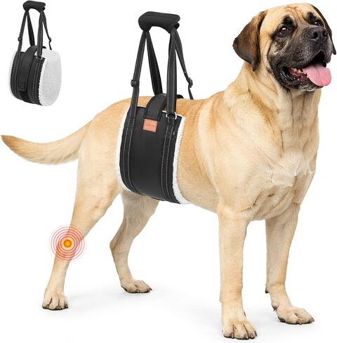 حزام رفع الكلاب من لوباني للأرجل الخلفية، حبال الكلاب المحمولة للكلاب الكبيرة، دعم الساق الخلفية، مساعدة مريحة لدعم الساق للكلاب المسنة ذات الورك، دعامة الرباط الصليبي الأمامي، كبار السن، المصابين in Kuwait