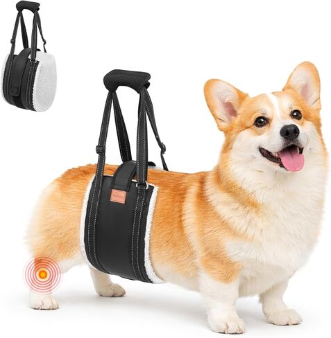 LOOBANI Dog Lift Harness for Back Legs, Portable Dog Sling for Large Dogs Hind Leg Support, Comfortable Leg Support Assistance for Elderly Dogs with Hip, ACL Brace, Senior, Injured in Saudi Arabia