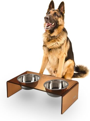 متجر LICKER Store DBL2001D Keaton مقاس 7.5 بوصة، جهاز تغذية الحيوانات الأليفة مستطيل الشكل مرتفع من الأكريليك الحديث متوسط/كبير مع أوعية من الفولاذ المقاوم للصدأ سعة 54 أونصة، كهرمان/كروم in Kuwait