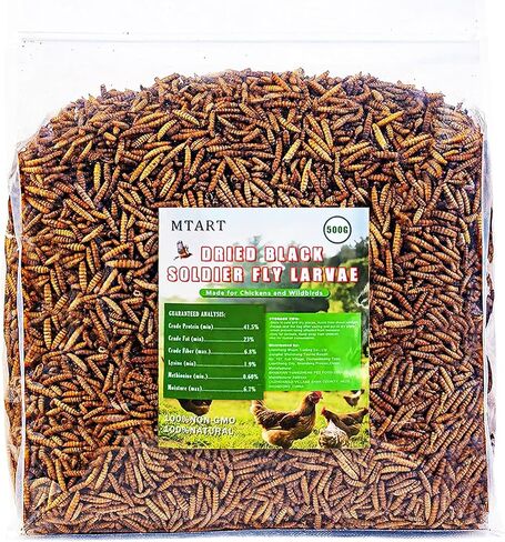 10LB Dried Black Soldier Fly Larvae Treat for Chicken, 100% Natural Non-GMO More Calcium Than Dried Mealworms High Protein Chicken Feed for Birds, Ducks, Layer Hens in Kuwait