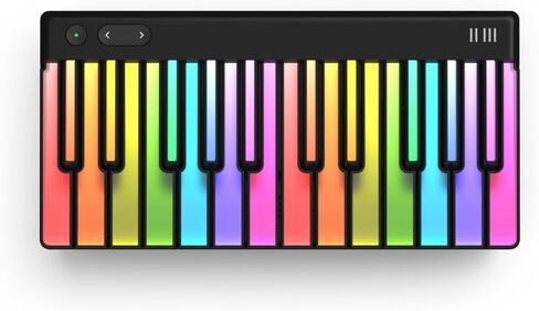 ROLI Piano M + One Year Subscription to ROLI Learn | Teach Yourself to Play | Interactive Piano-Learning Keyboard for Beginners in Saudi Arabia