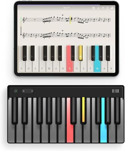 ROLI Piano M + One Year Subscription to ROLI Learn | Teach Yourself to Play | Interactive Piano-Learning Keyboard for Beginners in Saudi Arabia