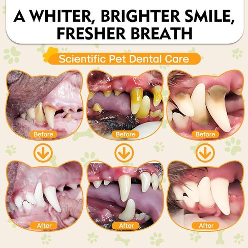 مسحوق أسنان الكلاب، مسحوق تنظيف أسنان الكلاب - معطر التنفس الطبيعي للكلاب، مزيل الجير والبلاك، العناية بالأسنان للكلاب والقطط الصغيرة والمتوسطة والكبيرة (مسحوق أسنان الكلاب) in Kuwait