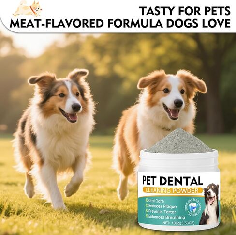 مسحوق أسنان الكلاب، مسحوق تنظيف أسنان الكلاب - معطر التنفس الطبيعي للكلاب، مزيل الجير والبلاك، العناية بالأسنان للكلاب والقطط الصغيرة والمتوسطة والكبيرة (مسحوق أسنان الكلاب) in Kuwait