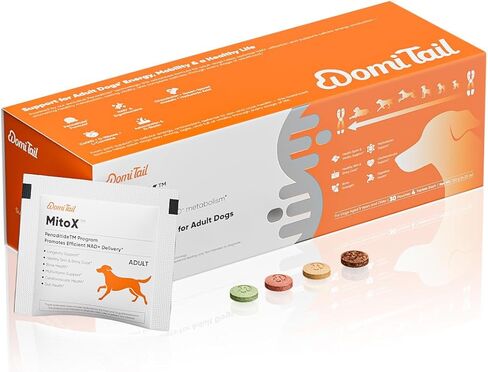 Adult Dog Daily Nutrition Supplement – Daily Vitality, Cellular Energy & Antioxidant Support (1 Year+), with Penaditide™ Formula, NAD+ & Ergothioneine, Chicken Flavor, 30 Daily Pouches in Saudi Arabia